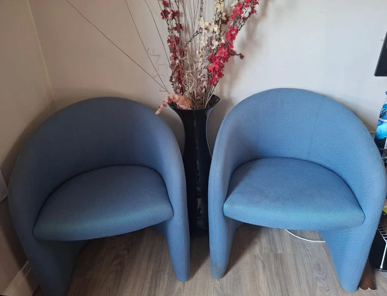 Blue Accent Chairs - Set of 2