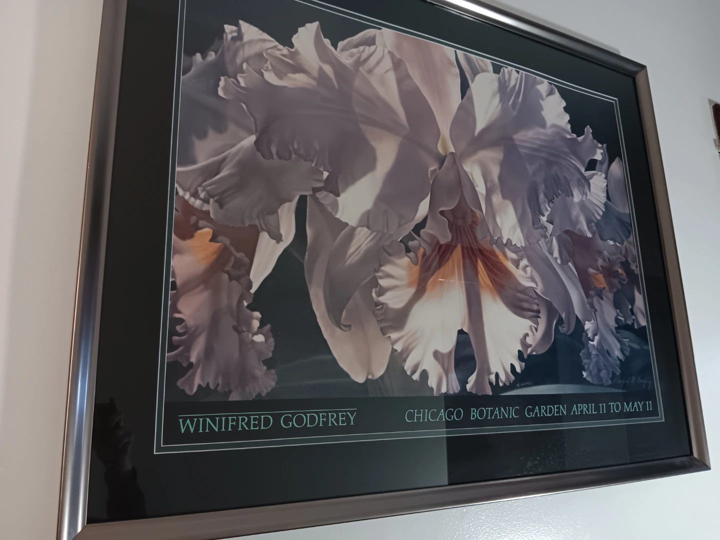 Winifred Godfrey Chicago Botanic Garden Print - photo 5