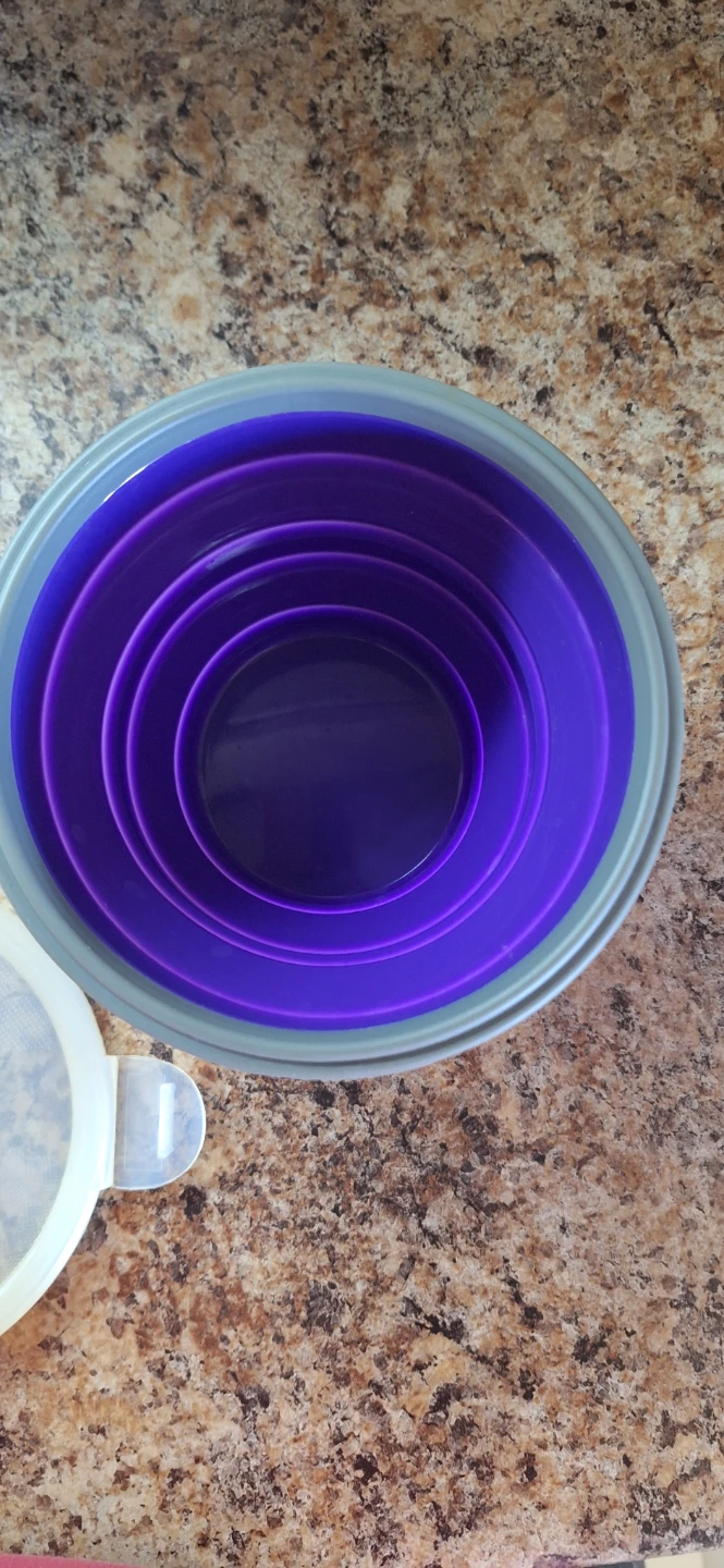 Purple Collapsible Food Container - photo 2