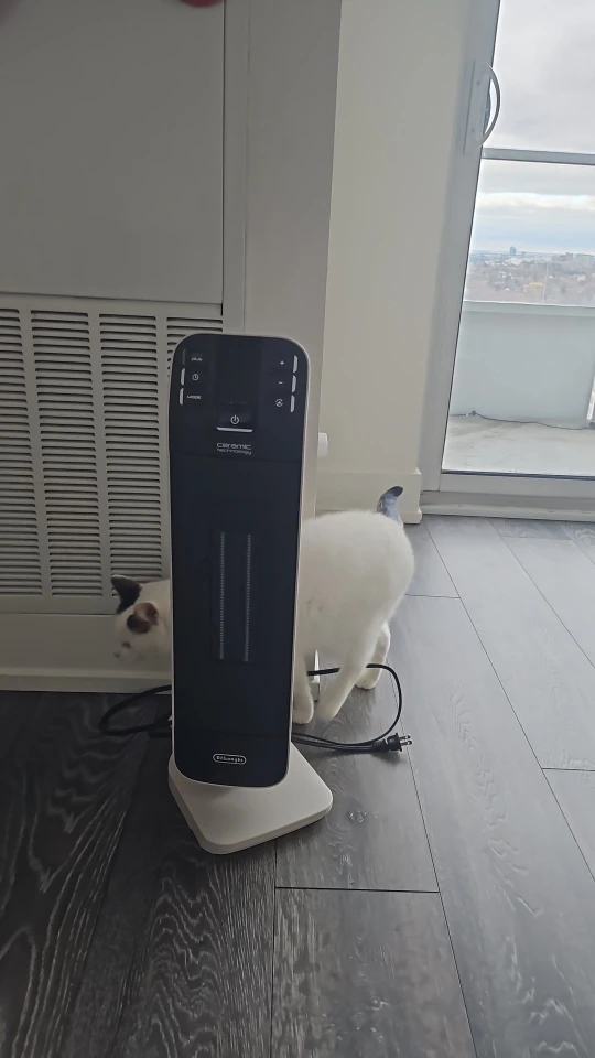 DeLonghi Ceramic Technology Tower Heater