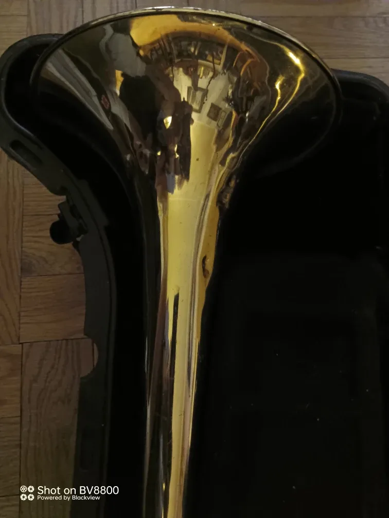 Bach Trombone with Case image indicator(7)