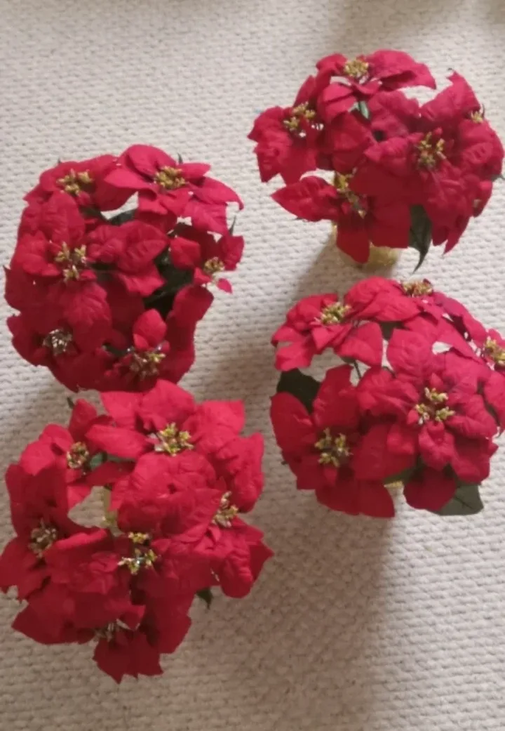 Artificial Poinsettia Plants - 4 pcs ($25 for all)