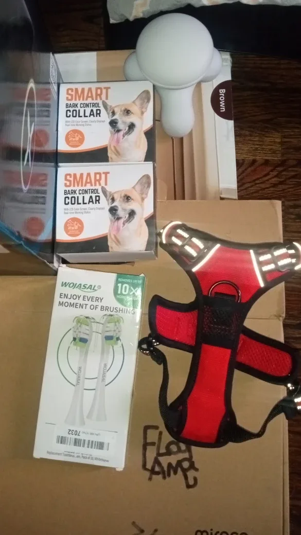 Hover-1 Blast self-balancing image indicator(2)