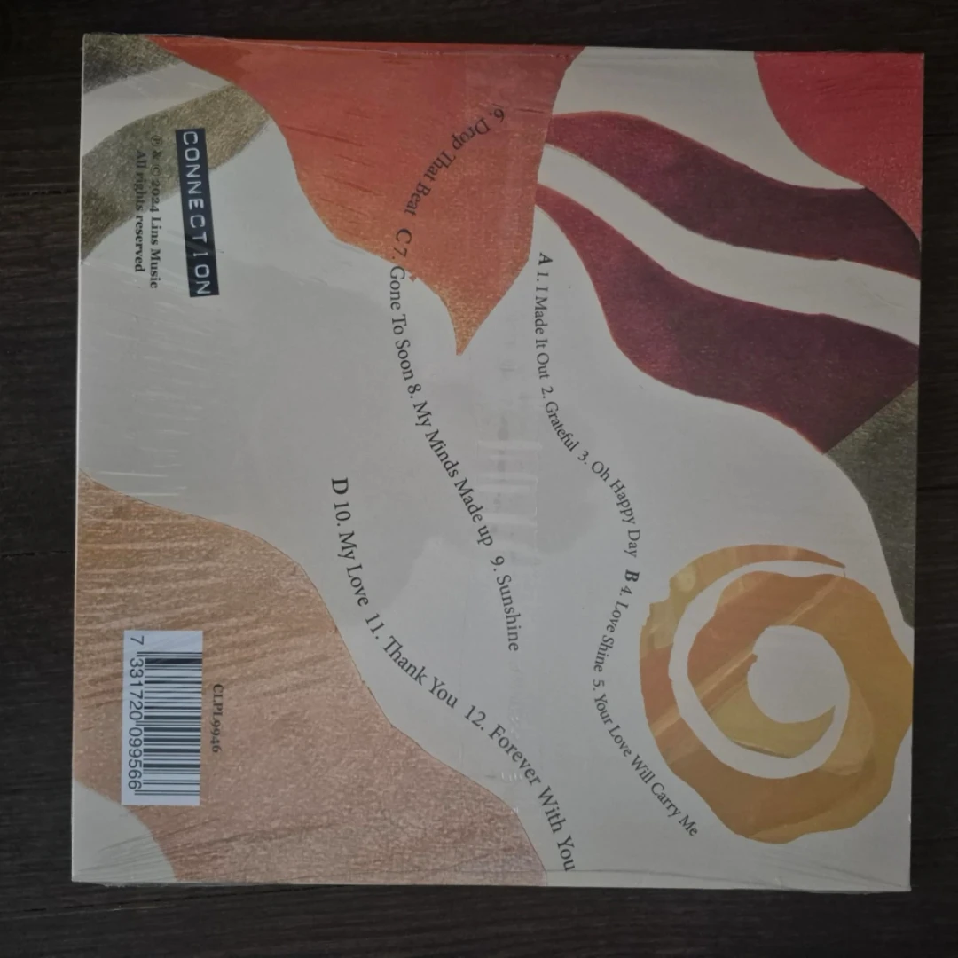 Samuel Jungblut - I Made It Out Vinyl - photo 2