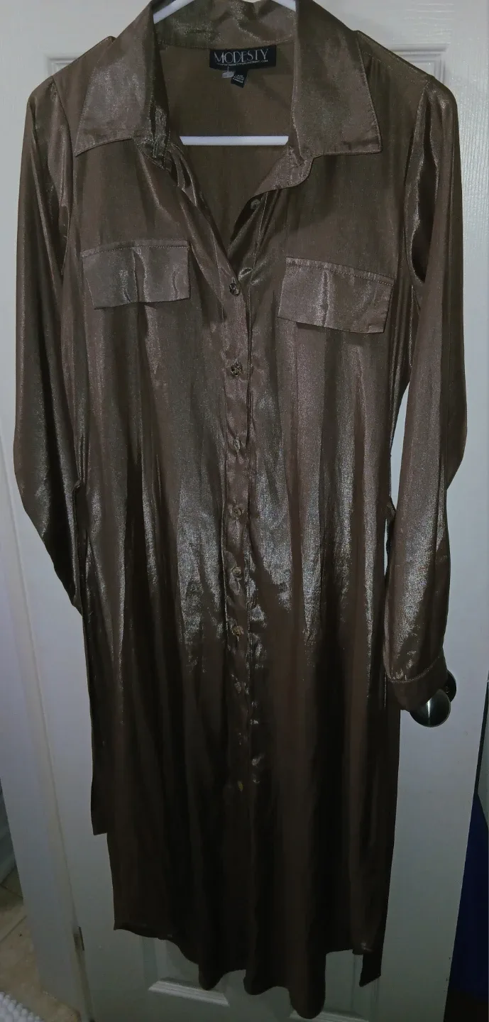 Modesty Brown Shirt Dress image indicator(3)