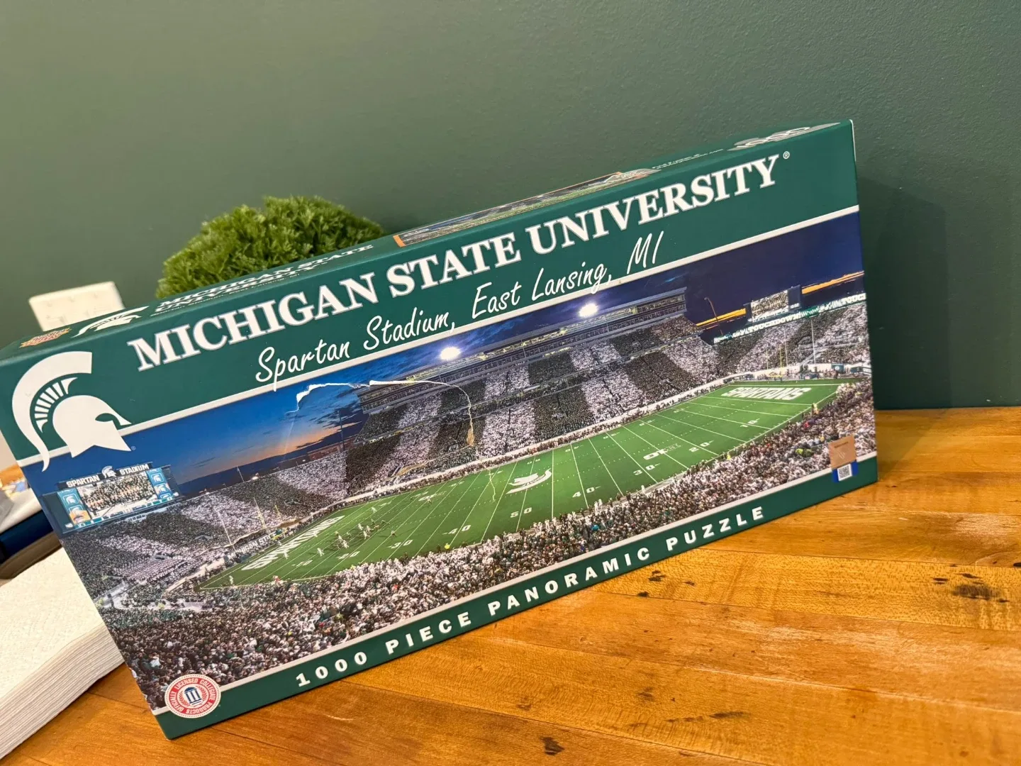 Michigan State University Spartan Stadium 1000 Piece Puzzle