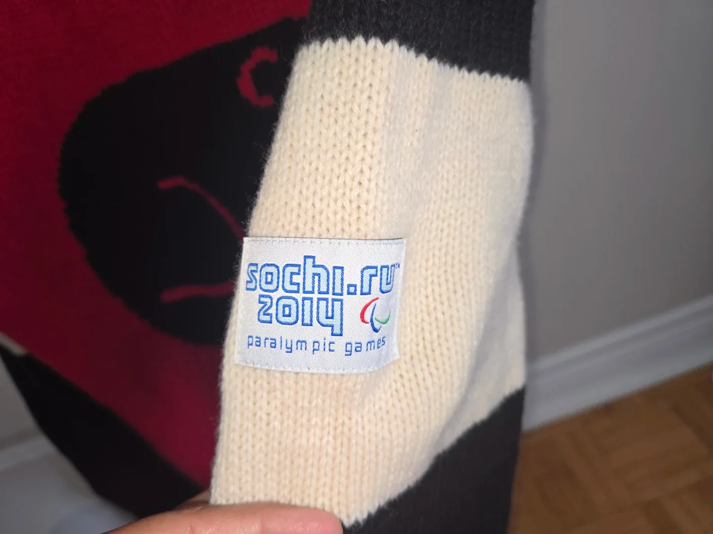 Hudson's Bay 2014 Paralympic Team Canada Sweater - Men Small image indicator(6)