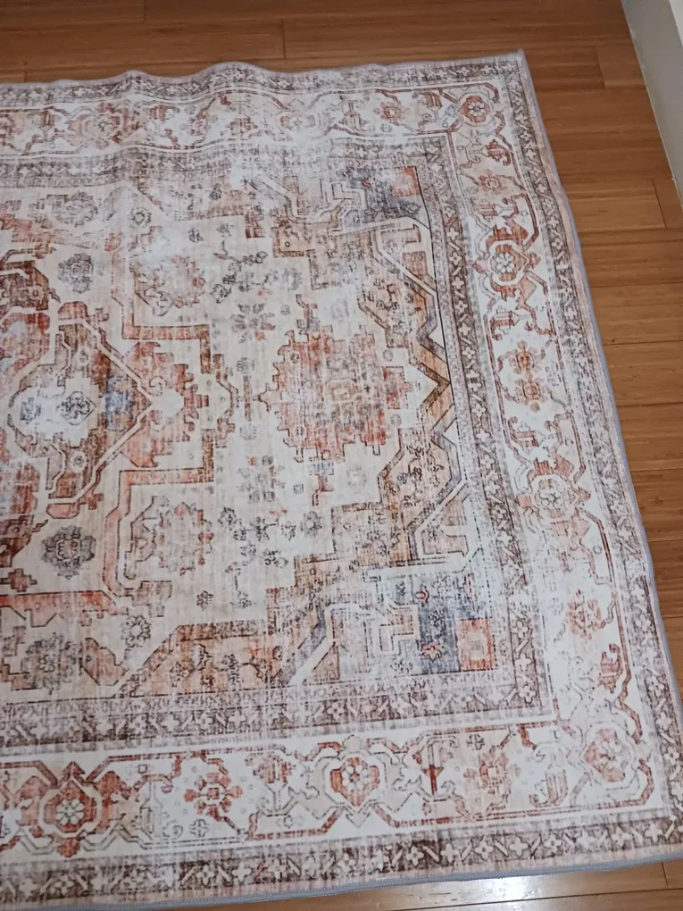 Vintage-Style Area Rug 4x6 — Neutral terracotta image indicator(3)