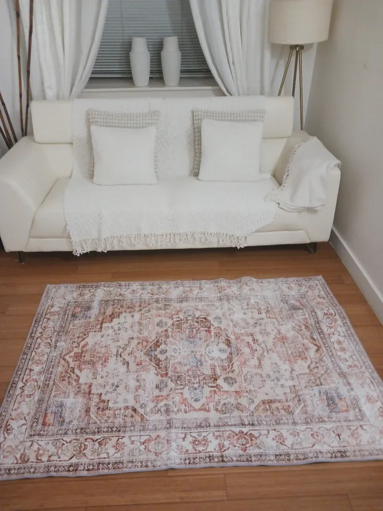 Vintage-Style Area Rug 4x6 — Neutral terracotta image indicator(4)