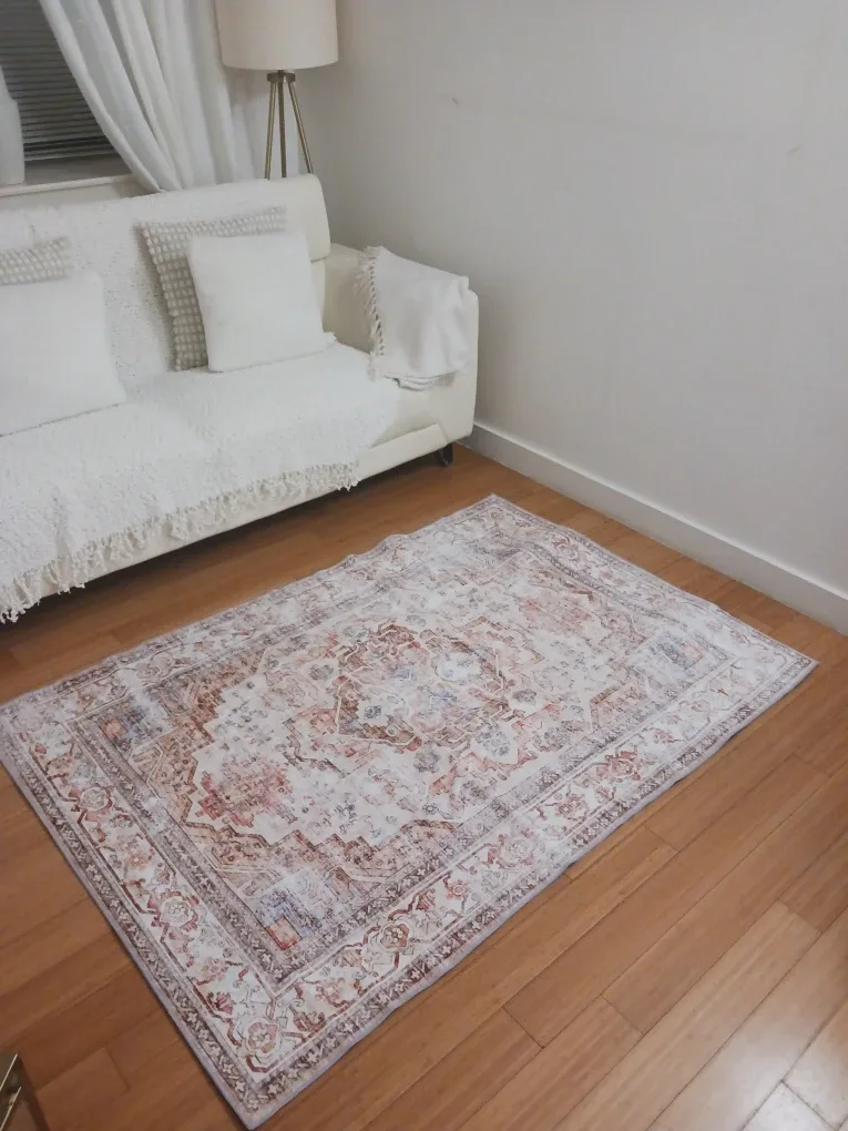 Vintage-Style Area Rug 4x6 — Neutral terracotta image indicator(5)