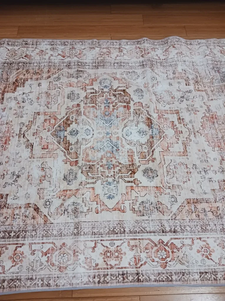 Vintage-Style Area Rug 4x6 — Neutral terracotta image indicator(6)