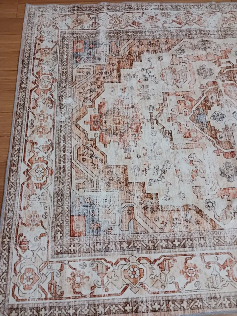 Vintage-Style Area Rug 4x6 — Neutral terracotta image indicator(7)