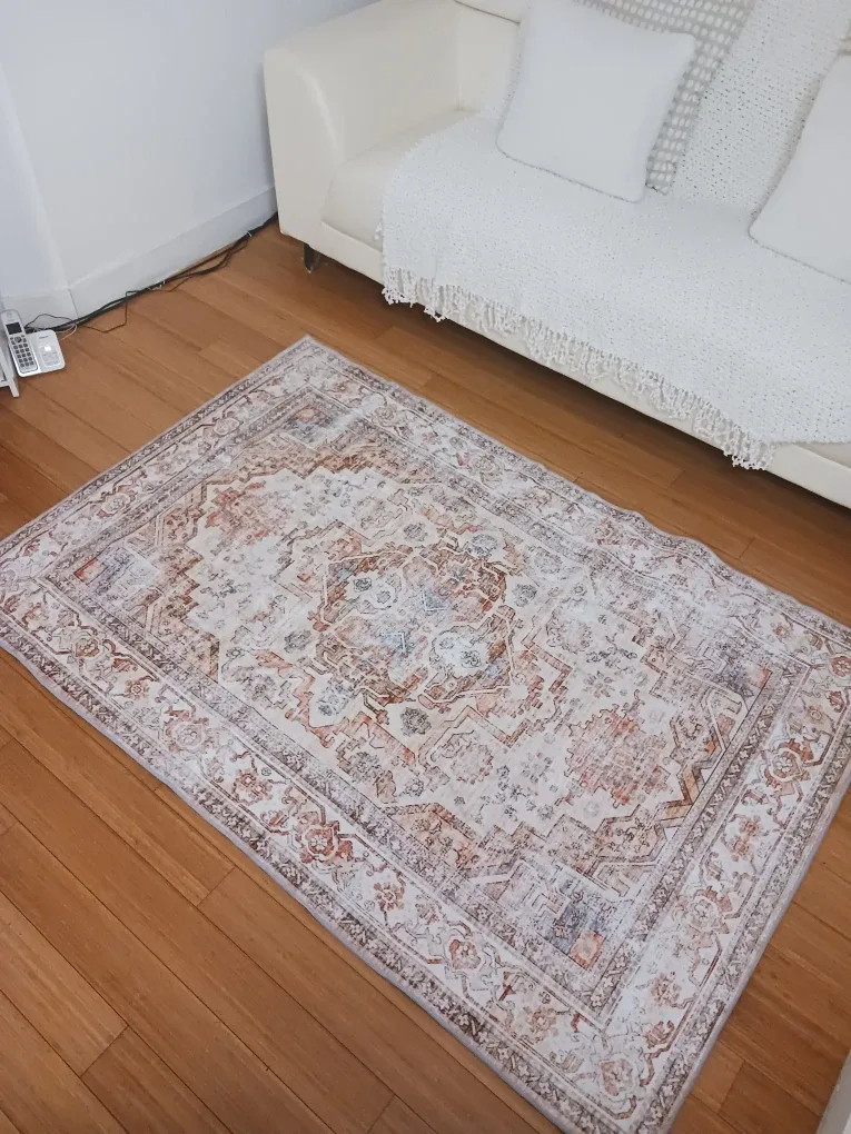 Vintage-Style Area Rug 4x6 — Neutral terracotta image indicator(8)