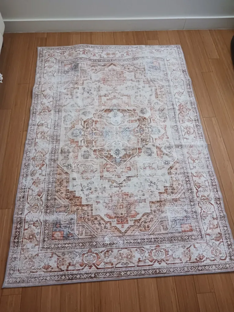 Vintage-Style Area Rug 4x6 — Neutral terracotta image indicator(9)