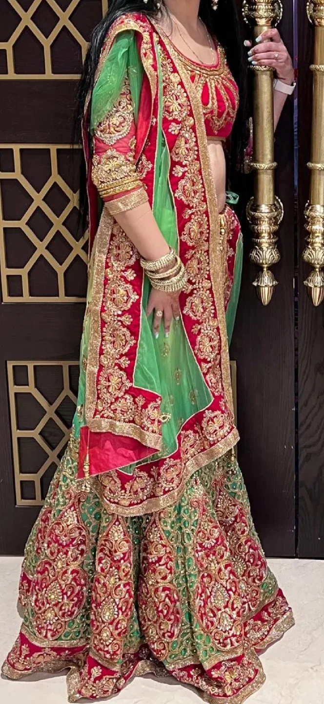 Lehnga Choli image indicator(2)