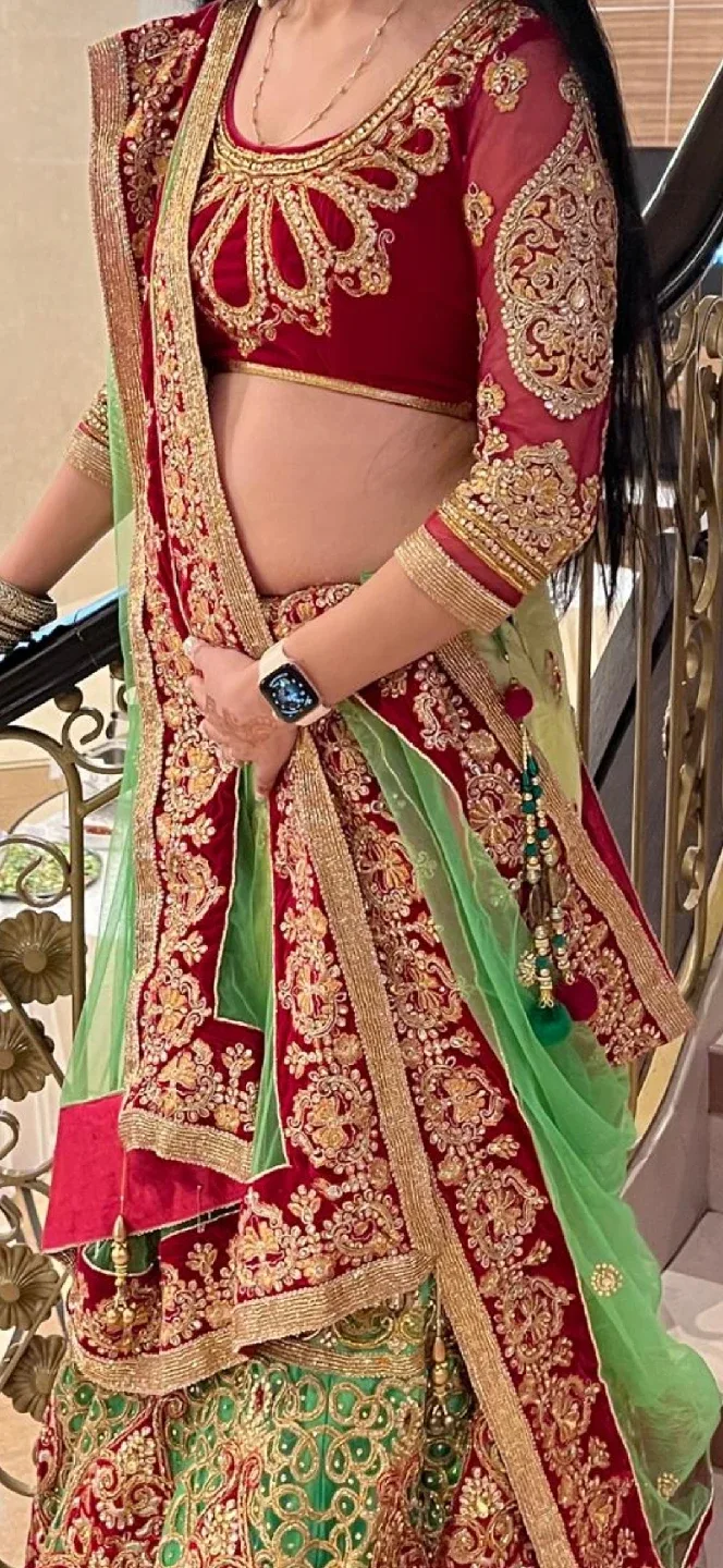 Lehnga Choli image indicator(3)