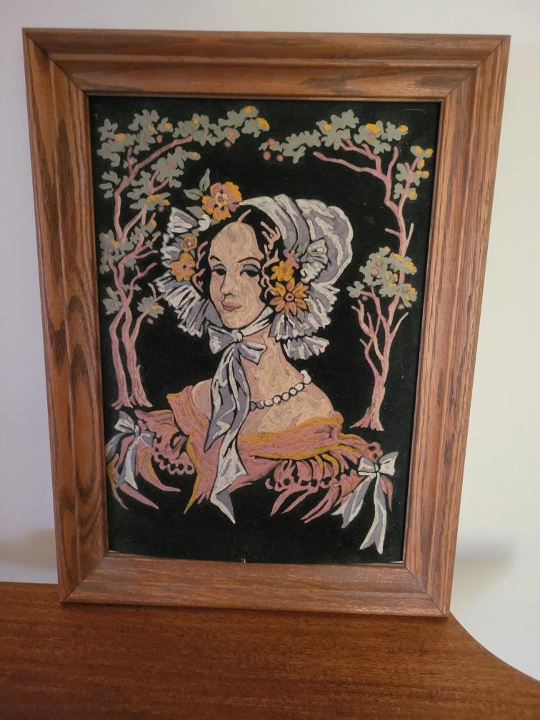 Picture on velvet