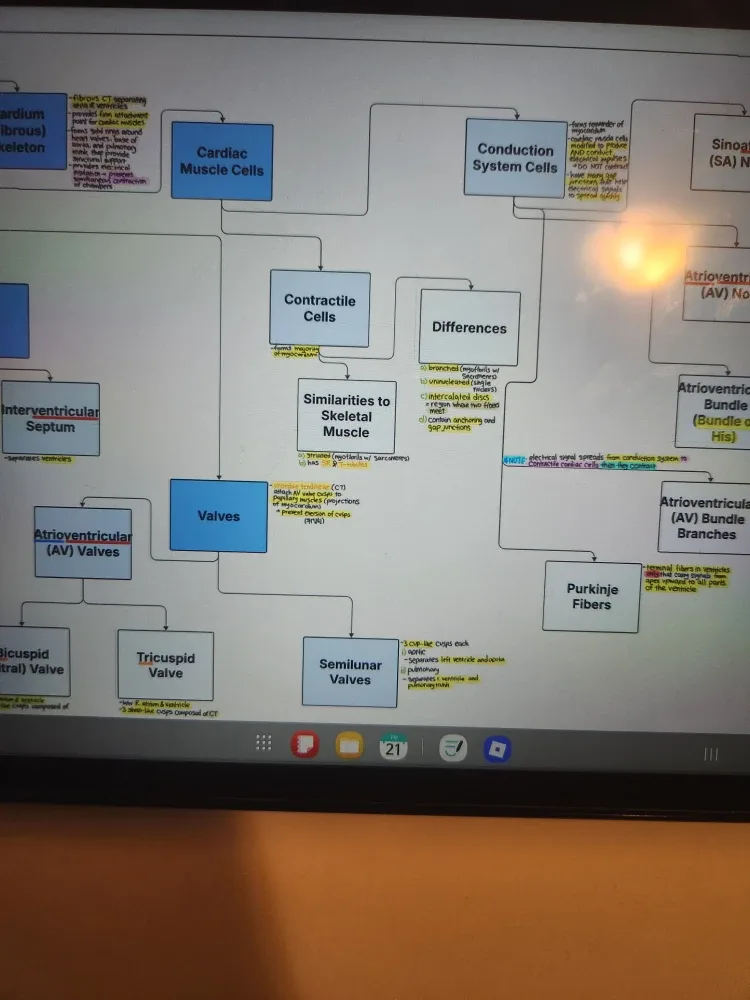 Samsung Galaxy Tab A9+ image indicator(3)