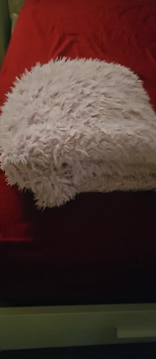 Paris Eiffel Tower Pillow