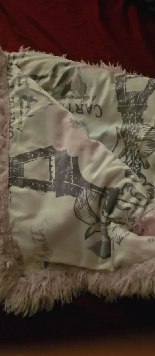 Paris Eiffel Tower Pillow image indicator(2)