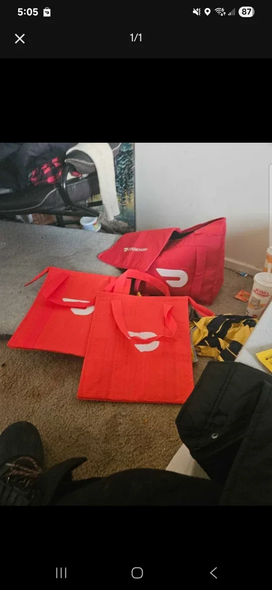 DoorDash Delivery Bags - Set of 2