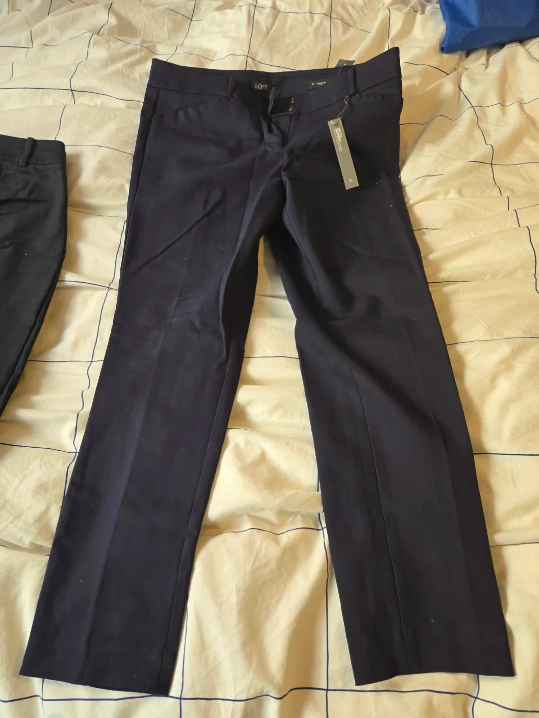 LOFT Marisa Skinny Ankle Pants - Size 10