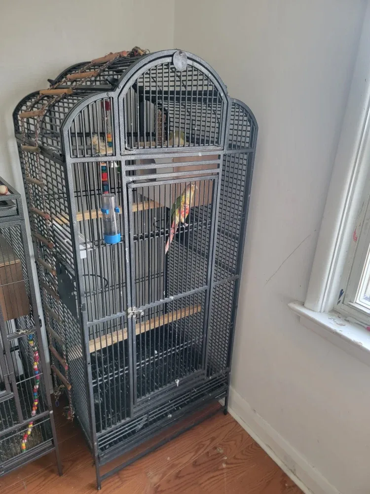 Large Bird Cage with Stand