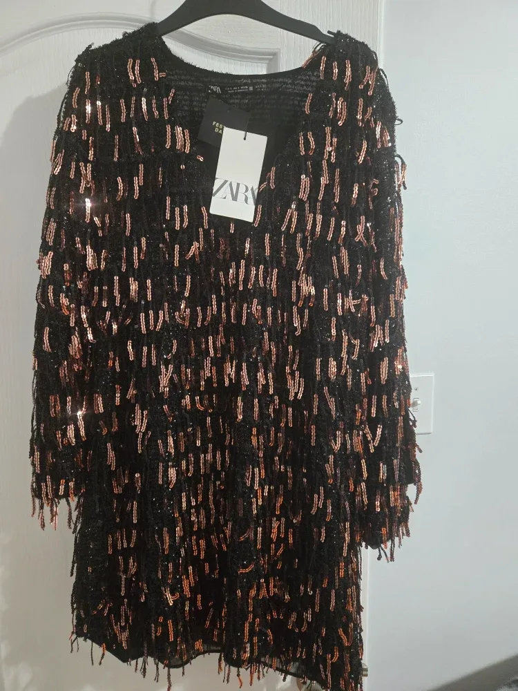 Zara Sequin Fringe Dress