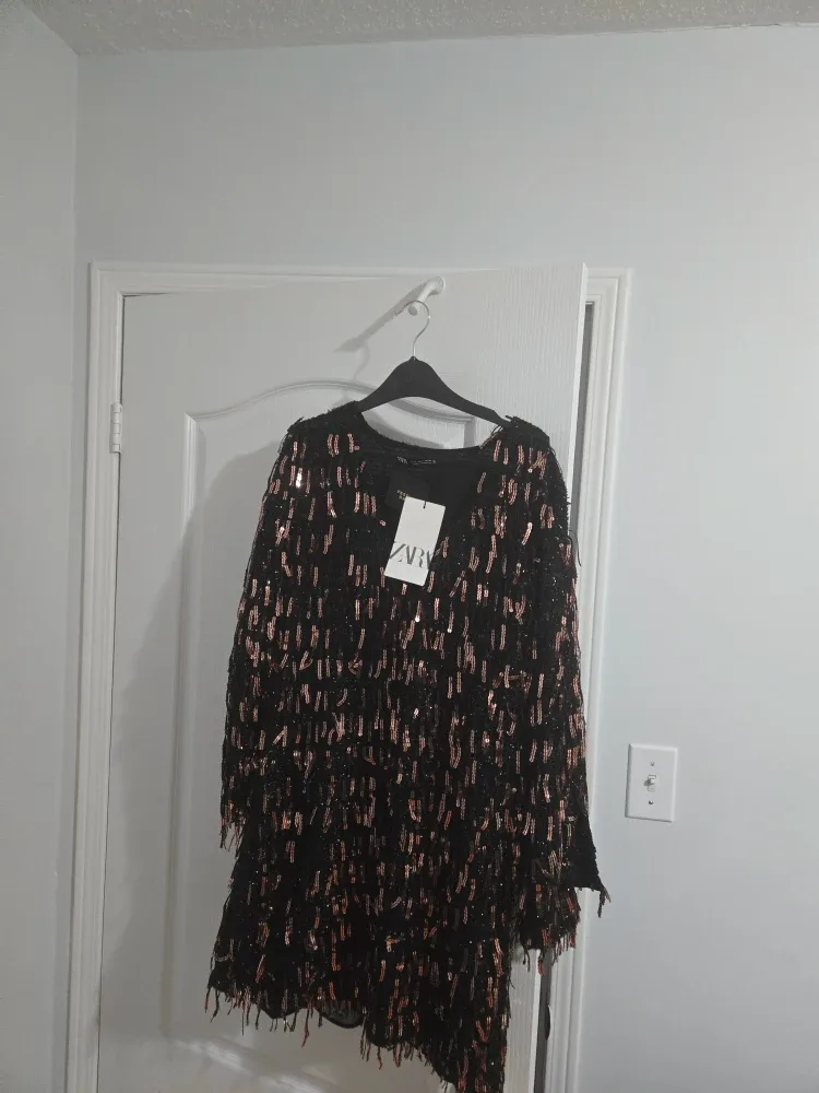 Zara Sequin Fringe Dress image indicator(2)