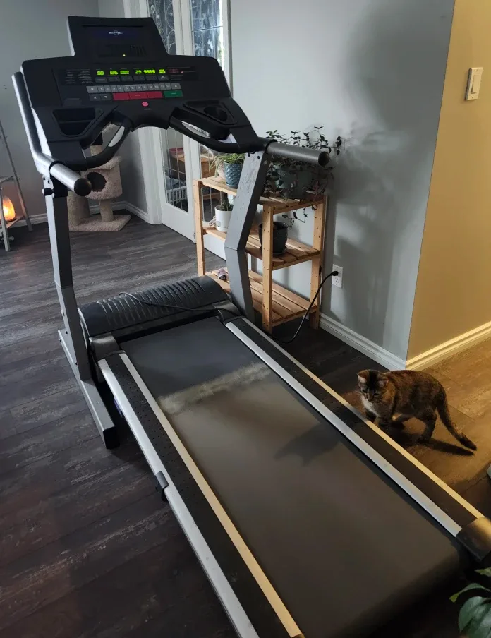 Treadmill - Exercise Equipment