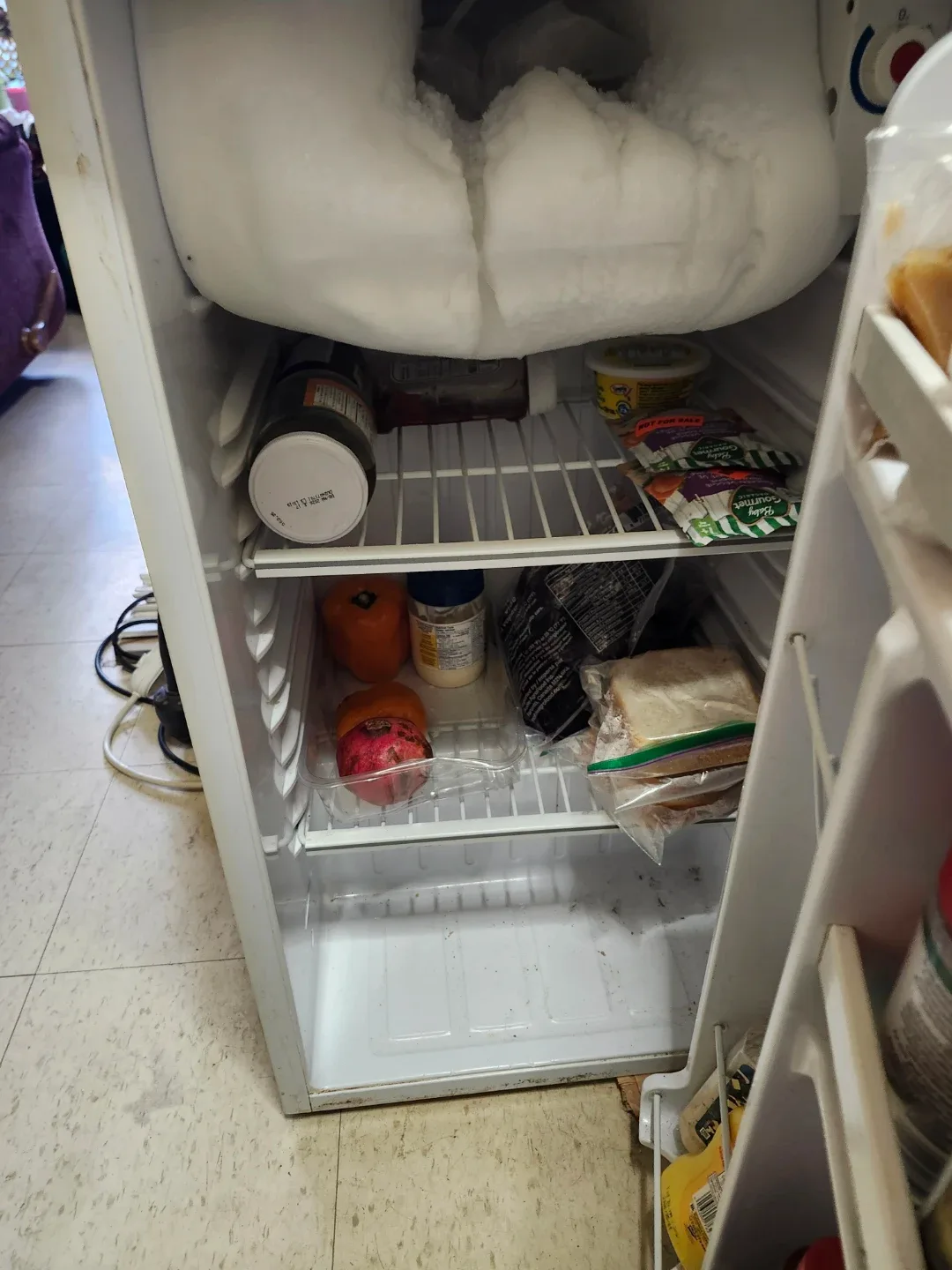 Danby Compact Refrigerator🥕 image indicator(4)