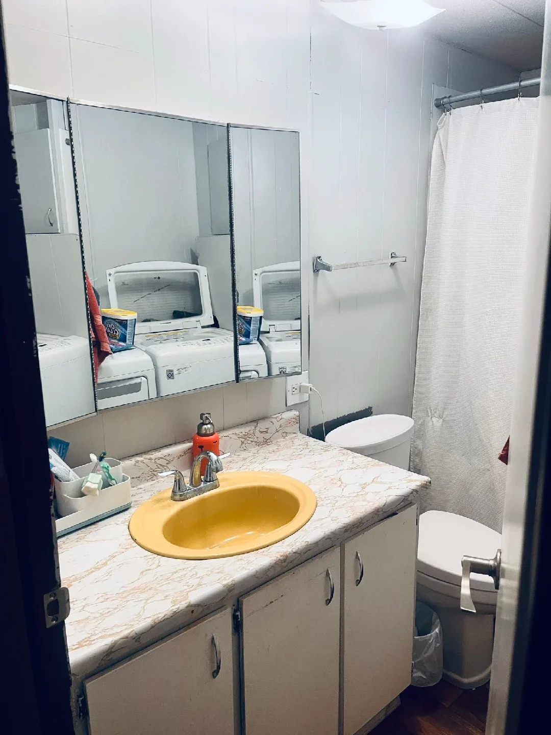 MOBILE HOME FIXER UPPER (WILLIAMS LAKE) image indicator(7)