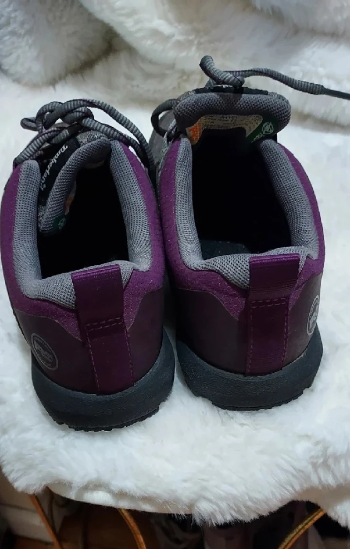 Timberland Gray & Purple Sneakers