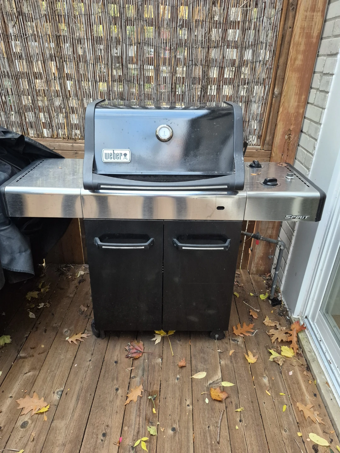 Weber Spirit Gas Grill