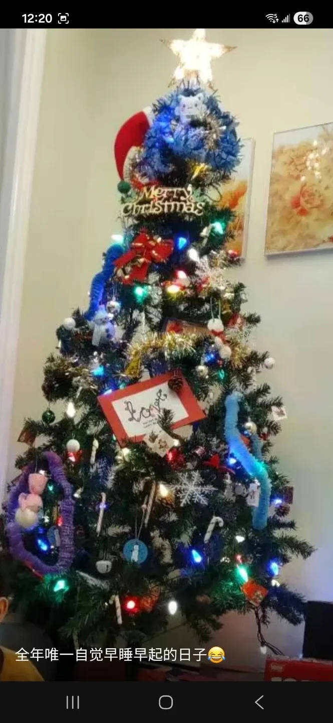 Fiber Optic Christmas Tree