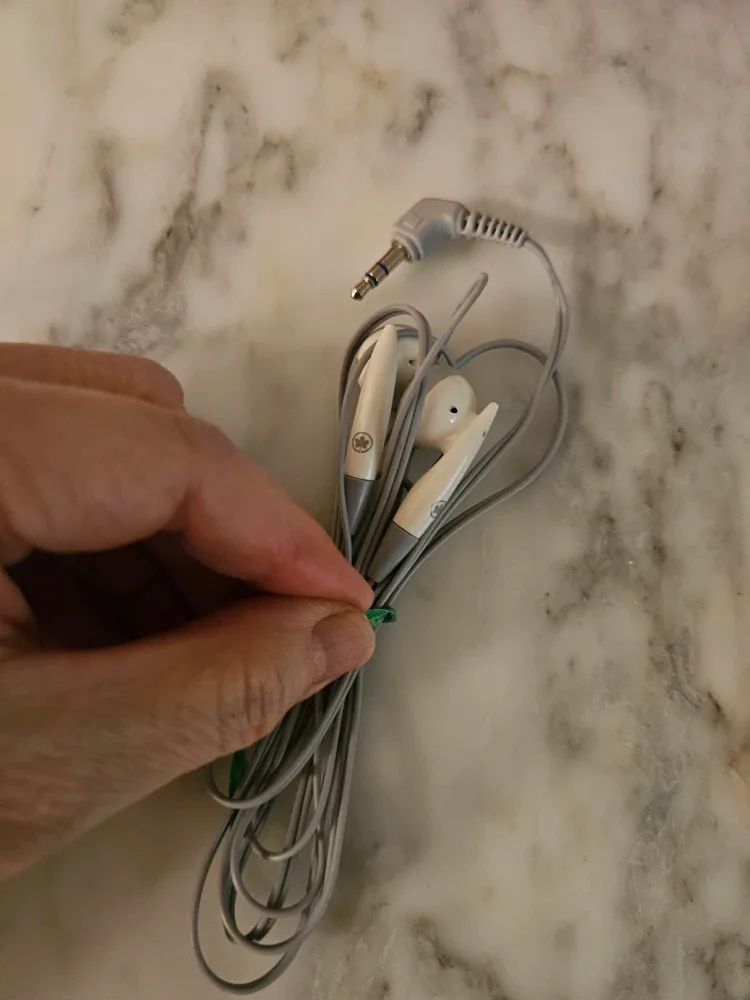 Air Canadá ear bugs