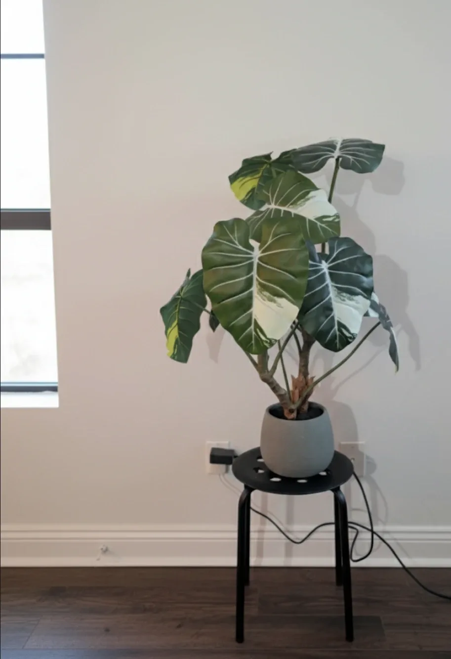 CB2 Faux Potted Philodendron Gloriosum Plant 31 thumbnail