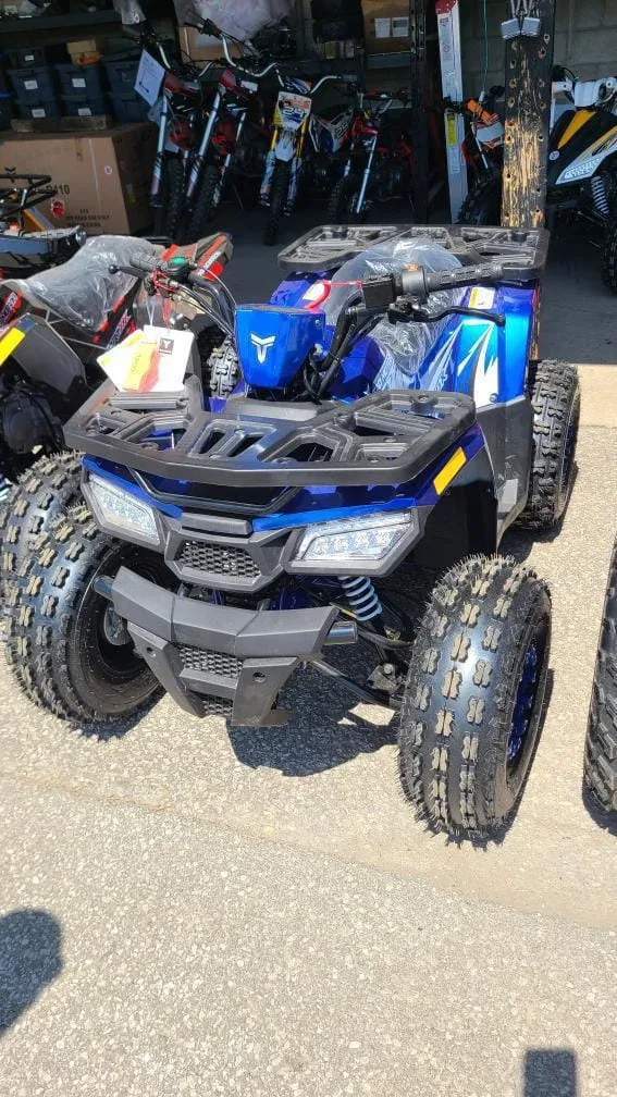 Blue Tao Motor ATV