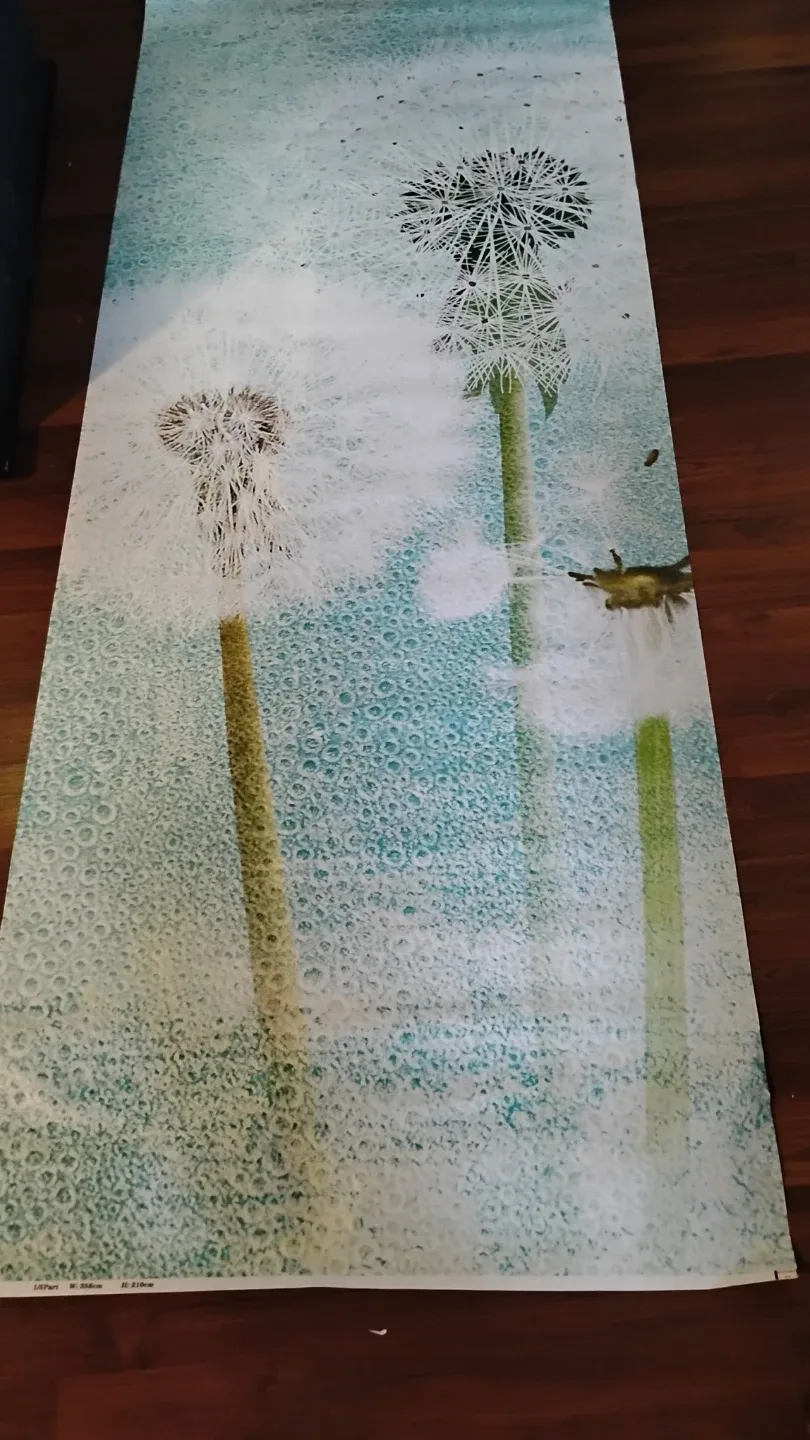 Set of 5 Dandelion Print panels mural 11.68 ft by 6.89 ft 🥕 image indicator(2)