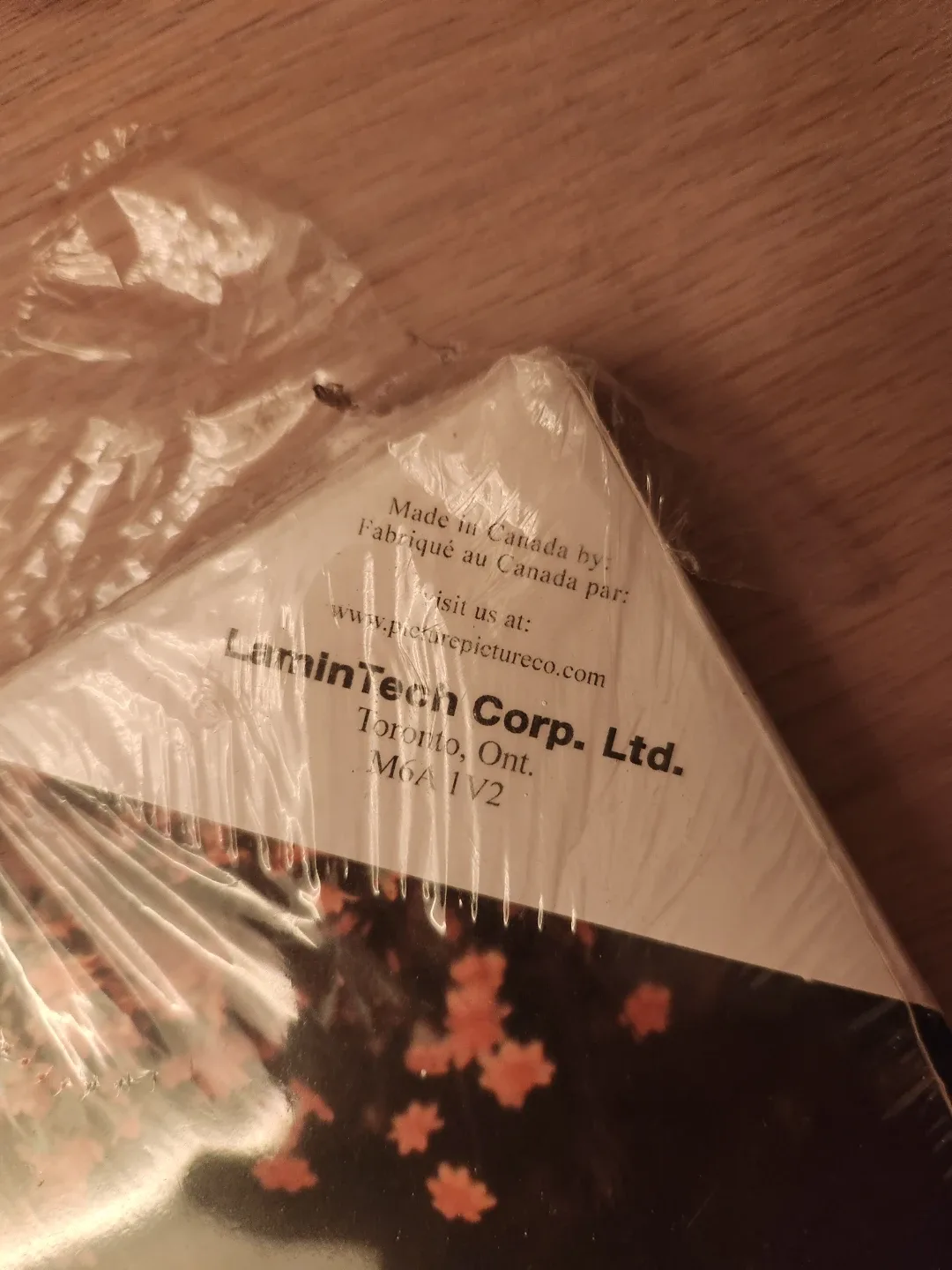 Lion Print by LaminTech Corp Ltd image indicator(2)