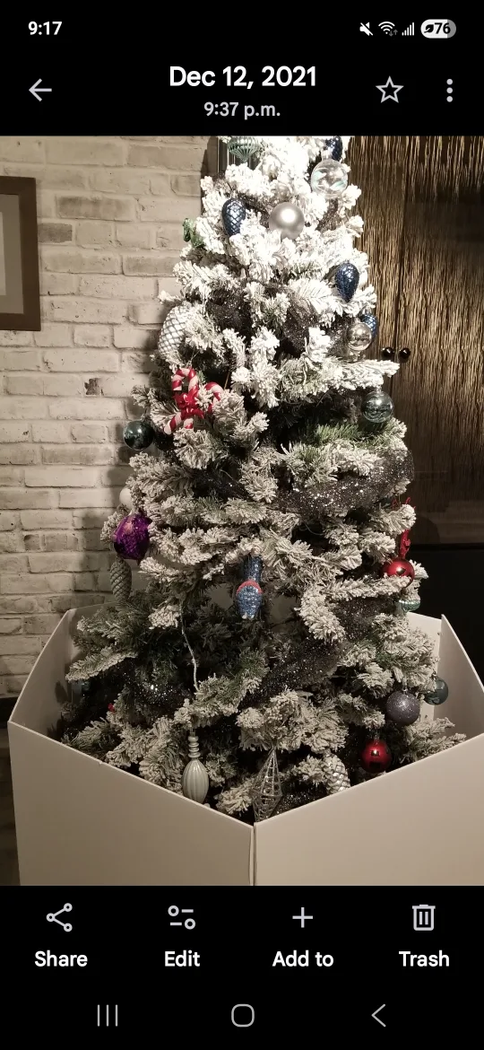 Christmas Tree(Flocked) image indicator(2)