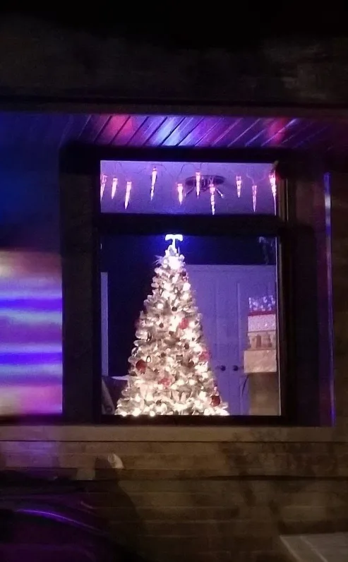 Christmas Tree(Flocked) image indicator(3)