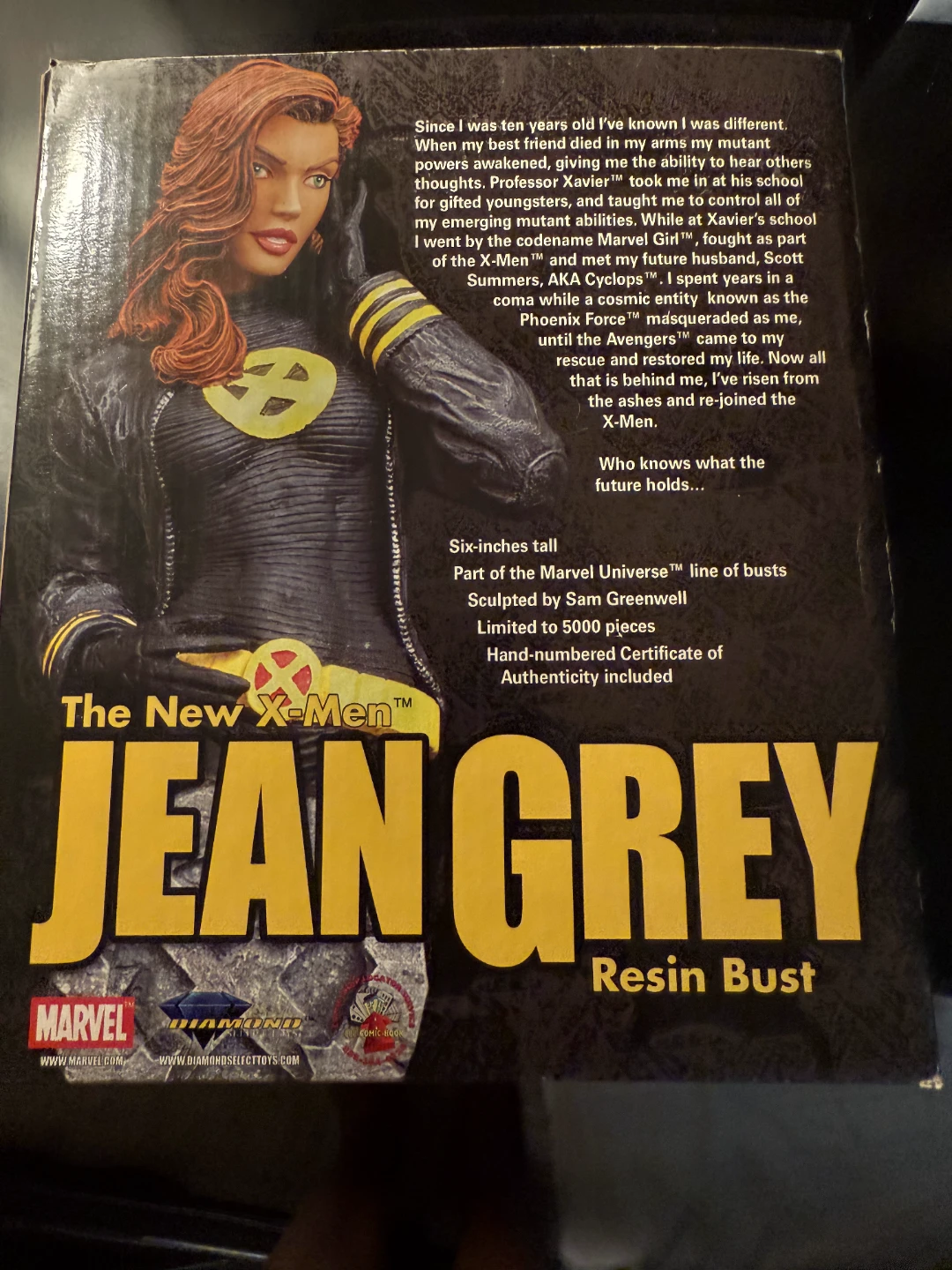 The New X-Men Jean Grey Resin Bust 🥕 - photo 2