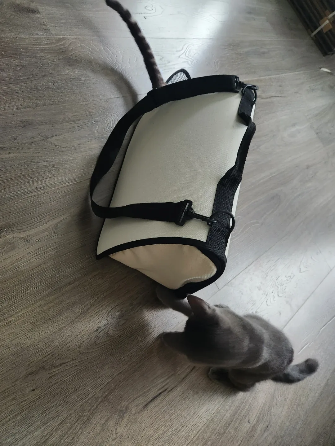 Pet Carrier - Beige & Black image indicator(3)