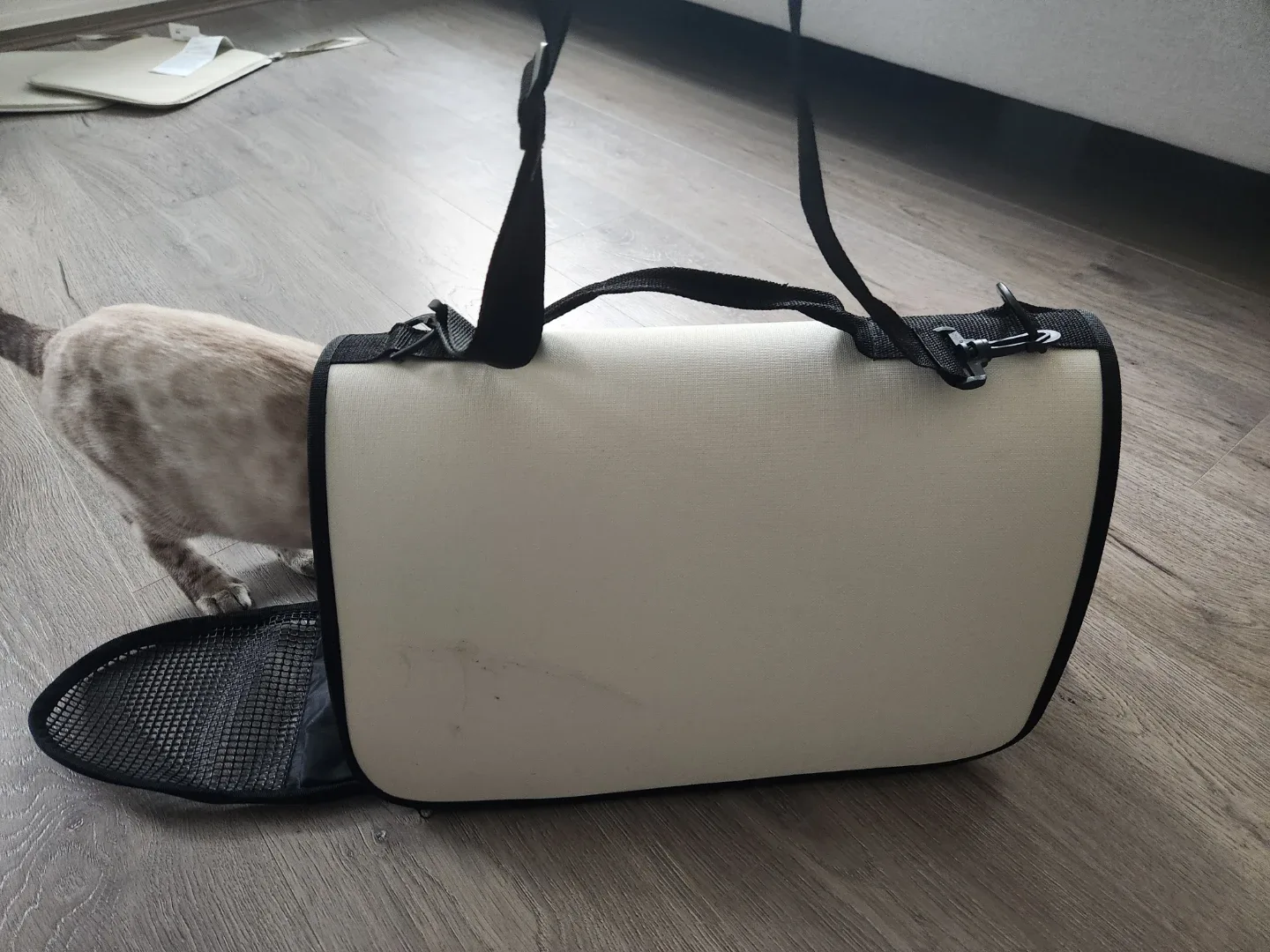 Pet Carrier - Beige & Black image indicator(4)