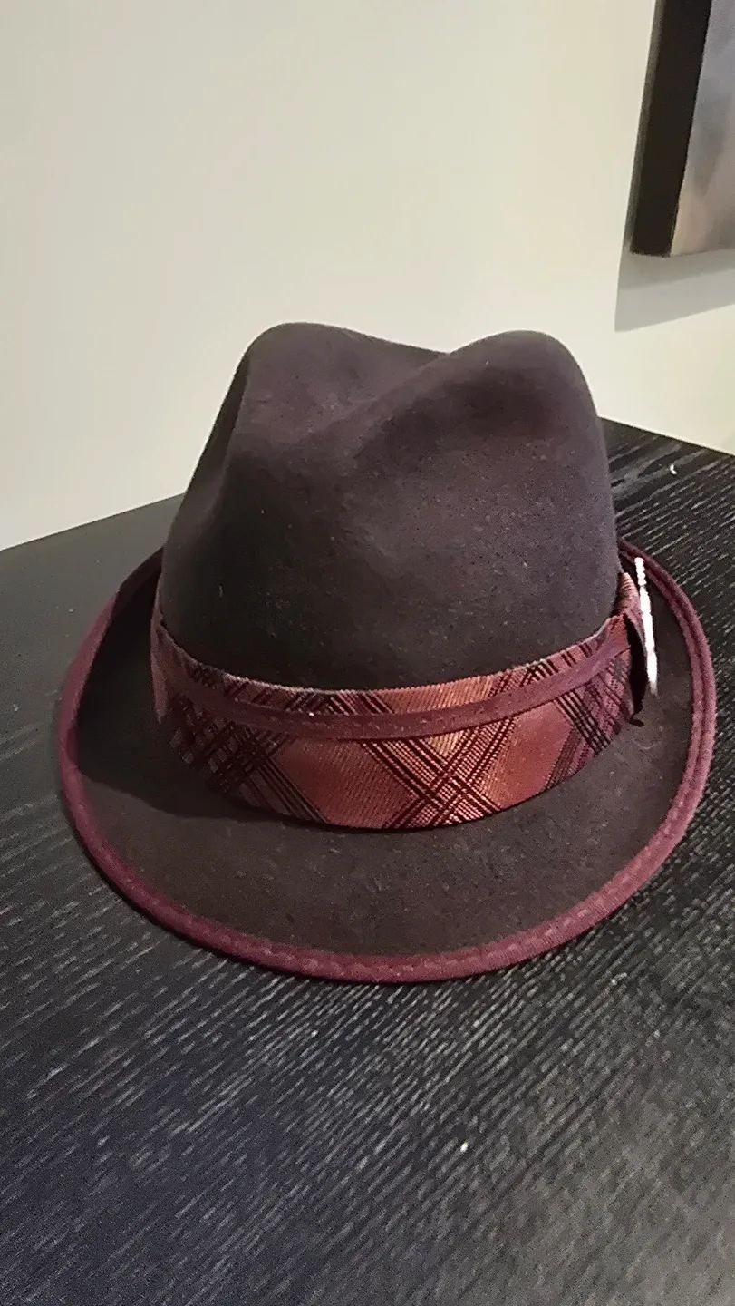 Carlos Santana Fedora Hat - Size L image indicator(2)