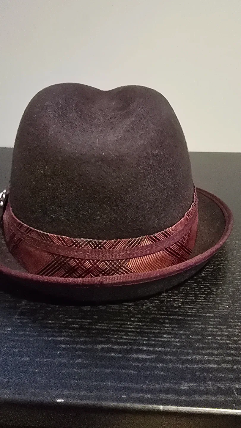 Carlos Santana Fedora Hat - Size L image indicator(3)