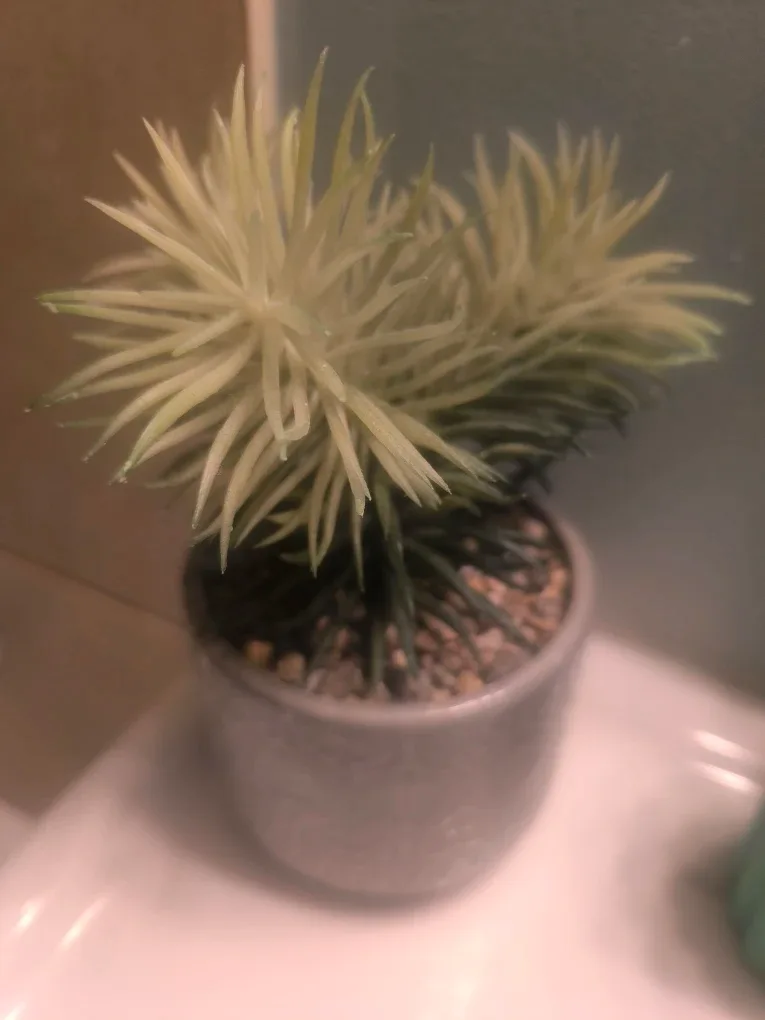 Small Artificial Plant