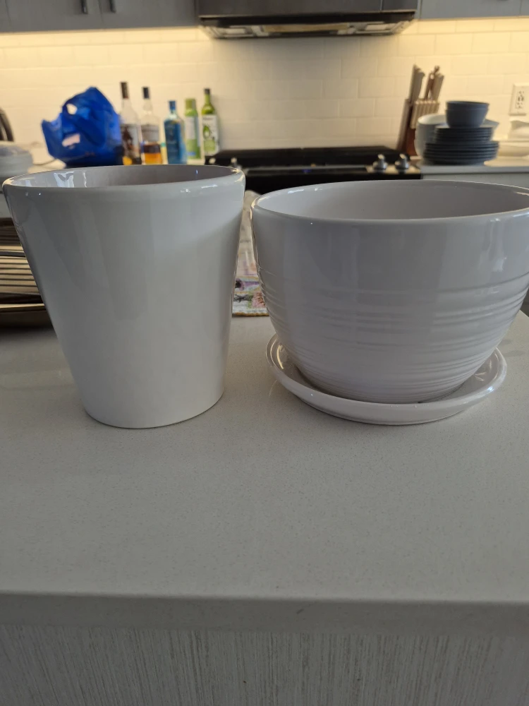 White Ceramic Plant Pots