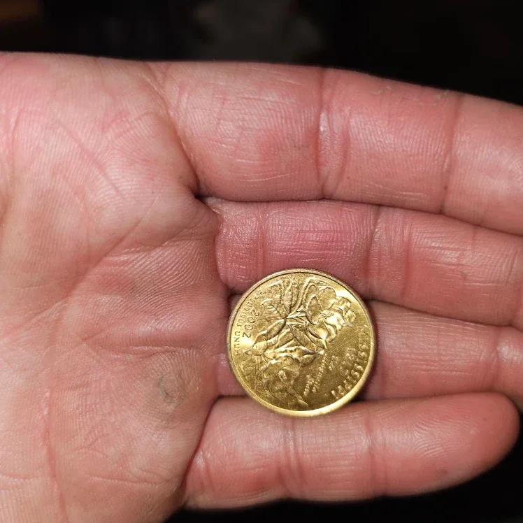 2002 Sacagawea One Dollar Coin